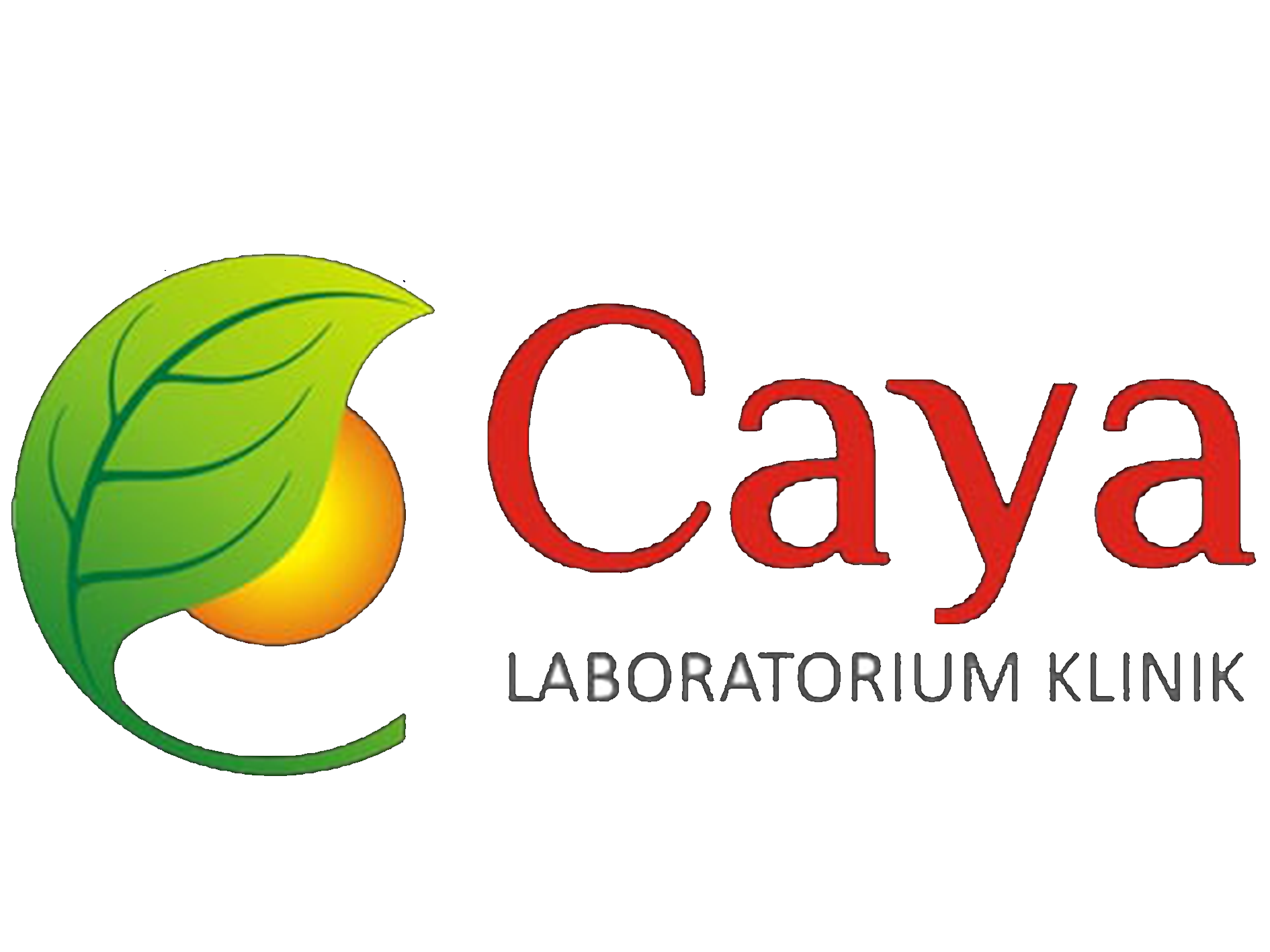 Caya Lab - Depok